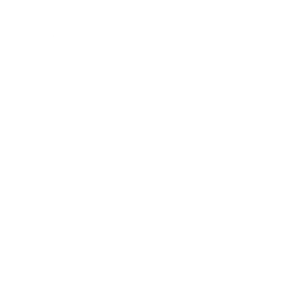Loans